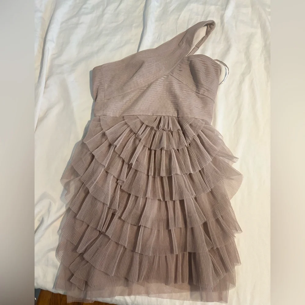BCBGMaxAzria Taupe (pinkish) Mesh Detail Dress - Picture 1 of 3